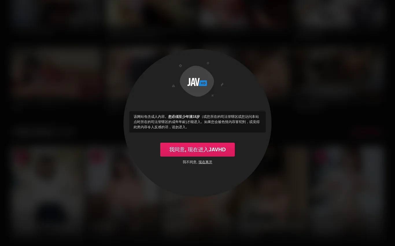 JAVHD中文站官网界面实拍：模特与DVD
